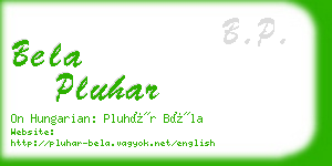 bela pluhar business card